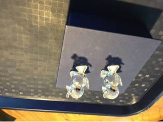 Glas en Kristal Swarovski