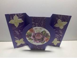 Kaarten maken &nbsp;Handgemaakte Wenskaarten en Brievenbuskadootjes !