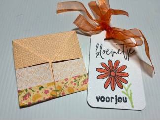 Kaarten maken &nbsp;Handgemaakte Wenskaarten en Brievenbuskadootjes !