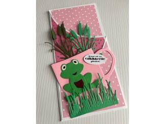 Kaarten maken &nbsp;Handgemaakte Wenskaarten en Brievenbuskadootjes !