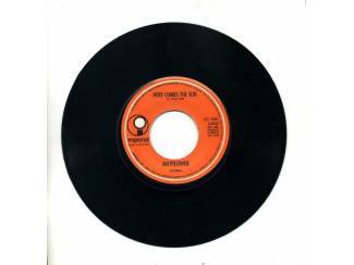 Grammofoon / Vinyl Mayflower 2 vinyl singles &euro;3 per stuk 2 voor &euro;5,00 ZGAN