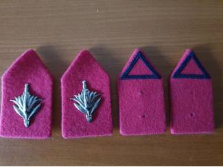 Kraag emblemen Korps Militaire Administratie