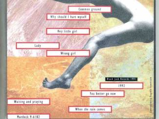 CD Amsterdam School Household Poems 10 nrs cd 1991 ZGAN