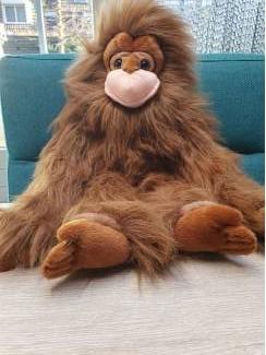 Efteling, Pandadroom knuffel Aap