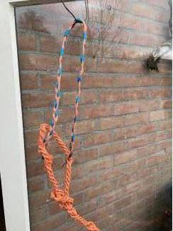 Halster voor paarden