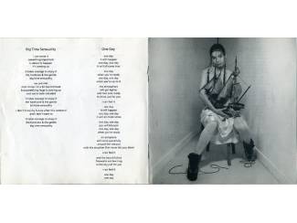 CD Bj&ouml;rk - Debut 12 nrs cd 1993 mooie staat