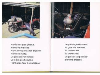 Kinderboeken De gans legt een ei &ndash; Helen Piers