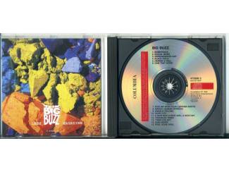 CD The Big Buzz Diverse Artiesten 15 nrs CD 1993 ZGAN