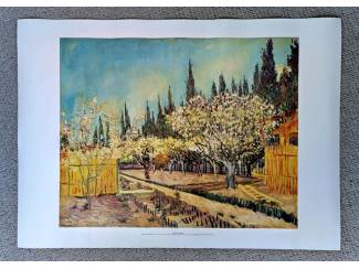 Posters Reproductie Boomgaard omringd door Cypressen van Vincent van Gogh