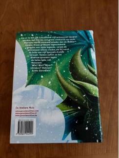 Kinderboeken Geronimo Stilton Fantasia 13 het drakeneiland