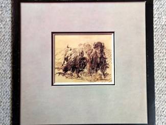 Grammofoon / Vinyl The Stills-Young Band &ndash; Long May You Run 9 nrs LP 1976 ZGAN