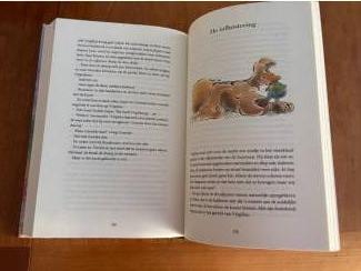 Kinderboeken Paul Biegel : Virgilius van Tuil (dwergje).