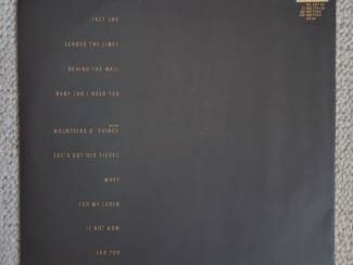 Grammofoon / Vinyl Tracy Chapman &ndash; Tracy Chapman 11 nrs LP 1988 ZGAN