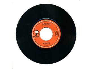 Grammofoon / Vinyl Mayflower 2 vinyl singles &euro;3 per stuk 2 voor &euro;5,00 ZGAN