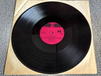 Grammofoon / Vinyl David Garrick &ndash; Don't Go Out Into The Rain 12 nrs LP 1967 ZGAN