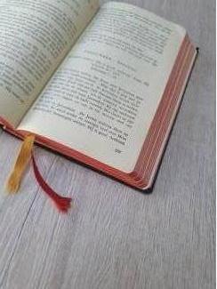 Boeken en Bijbels Bijbel en kerkboek