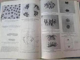 School- en Studieboeken inleiding tot de biologie