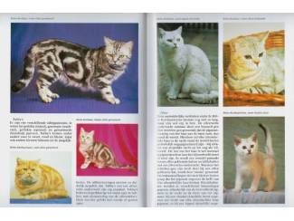 Huisdieren KATTEN ENCYCLOPEDIE ( NIEUW )