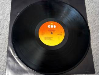 Grammofoon / Vinyl Bob Dylan &ndash; Street-Legal 9 nrs LP 1978 ZGAN