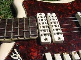 Snaarinstrumenten | Gitaren | Elektrisch EKO 500/4  (Itali&euml;)