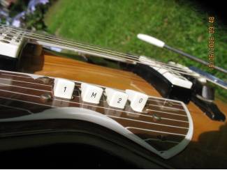 Snaarinstrumenten | Gitaren | Elektrisch EKO Florentine360/V/2