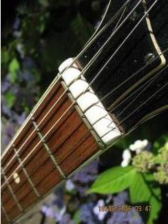 Snaarinstrumenten | Gitaren | Elektrisch EKO Florentine360/V/2