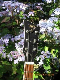 Snaarinstrumenten | Gitaren | Elektrisch EKO Florentine360/V/2