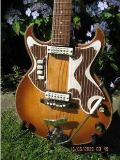 Snaarinstrumenten | Gitaren | Elektrisch EKO Florentine360/V/2