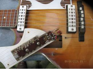 Snaarinstrumenten | Gitaren | Elektrisch EKO Florentine360/V/2