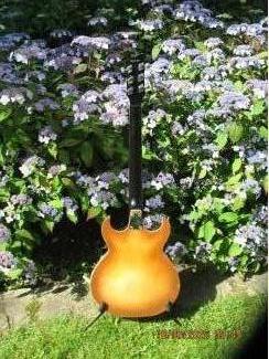 Snaarinstrumenten | Gitaren | Elektrisch EKO Florentine360/V/2