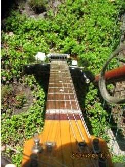 Snaarinstrumenten | Gitaren | Elektrisch EKO Cobra 12snarig