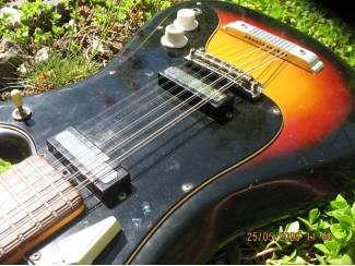 Snaarinstrumenten | Gitaren | Elektrisch EKO Cobra 12snarig