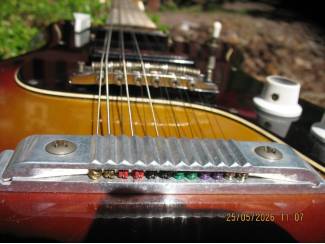 Snaarinstrumenten | Gitaren | Elektrisch EKO Cobra 12snarig
