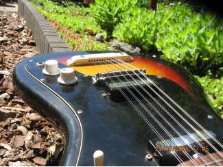 Snaarinstrumenten | Gitaren | Elektrisch EKO Cobra 12snarig
