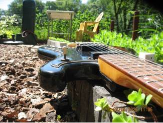 Snaarinstrumenten | Gitaren | Elektrisch EKO Cobra 12snarig