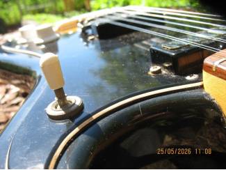 Snaarinstrumenten | Gitaren | Elektrisch EKO Cobra 12snarig