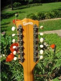 Snaarinstrumenten | Gitaren | Elektrisch EKO Cobra 12snarig