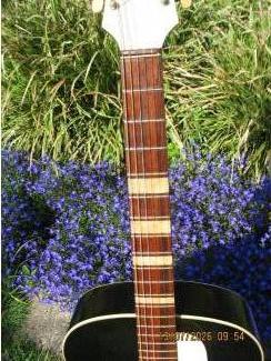 Snaarinstrumenten | Gitaren | Akoestisch Framus Missouri 5/60
