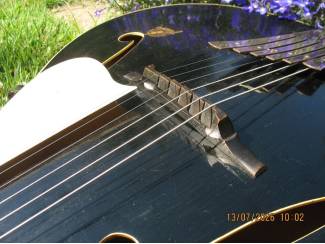 Snaarinstrumenten | Gitaren | Akoestisch Framus Missouri 5/60