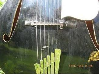 Snaarinstrumenten | Gitaren | Akoestisch Framus Missouri 5/60