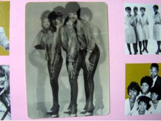 Grammofoon / Vinyl Wonder Women Vol. 1 - The History Of The Girl Group Sound ZGAN