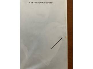 Geschiedenis en Politiek In de schaduw van gisteren - H.M. van Randwijk