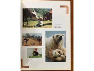 Geschiedenis en Politiek Fotoboek van de eeuw - Simons