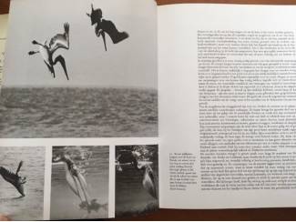 Overige Boeken en Diversen De wereld van de zee - Robert C. Miller