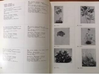 Kunst en Foto Catalogue of colour reproductions of paintings prior to 1860