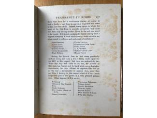 Flora en Fauna Roses Present-Day Gardening - H.R. Darlington