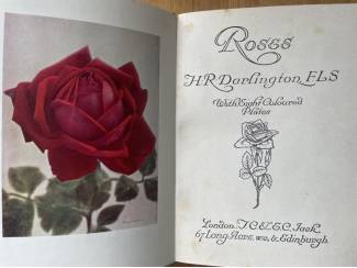 Flora en Fauna Roses Present-Day Gardening - H.R. Darlington