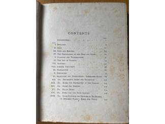 Flora en Fauna Roses Present-Day Gardening - H.R. Darlington