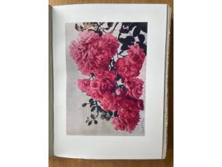 Flora en Fauna Roses Present-Day Gardening - H.R. Darlington