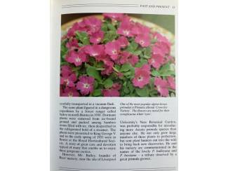 Flora en Fauna A Plantman's Guide to Primulas - Philip Swindells